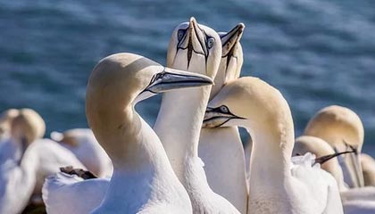 best365登录网页版-惺惺相惜,泰山队队长王大雷赛后主动安慰国安球员李磊